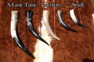 Large Drinking Horns